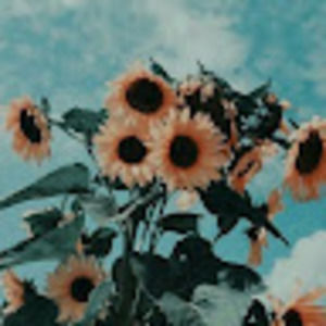 Meet your Posher, Xinmei